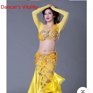 Professional belly dance costume